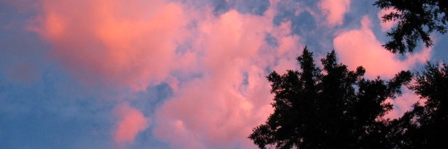 Aneesalake's profile banner image