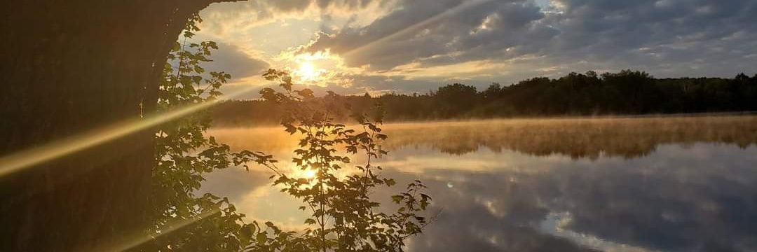 Christopher Strobach banner