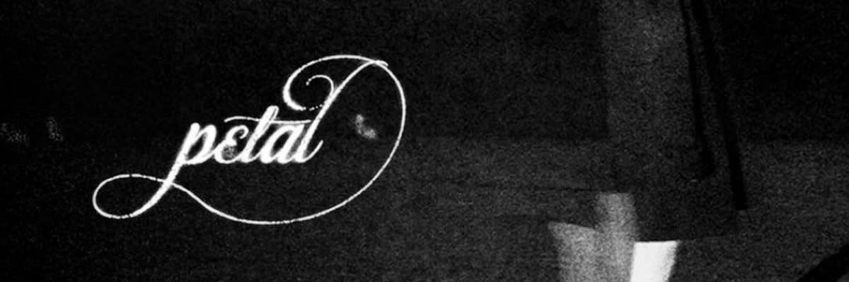 🐈‍⬛ banner