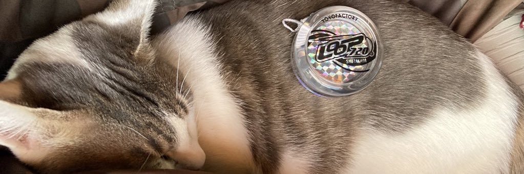 Nikuroud029's profile banner image