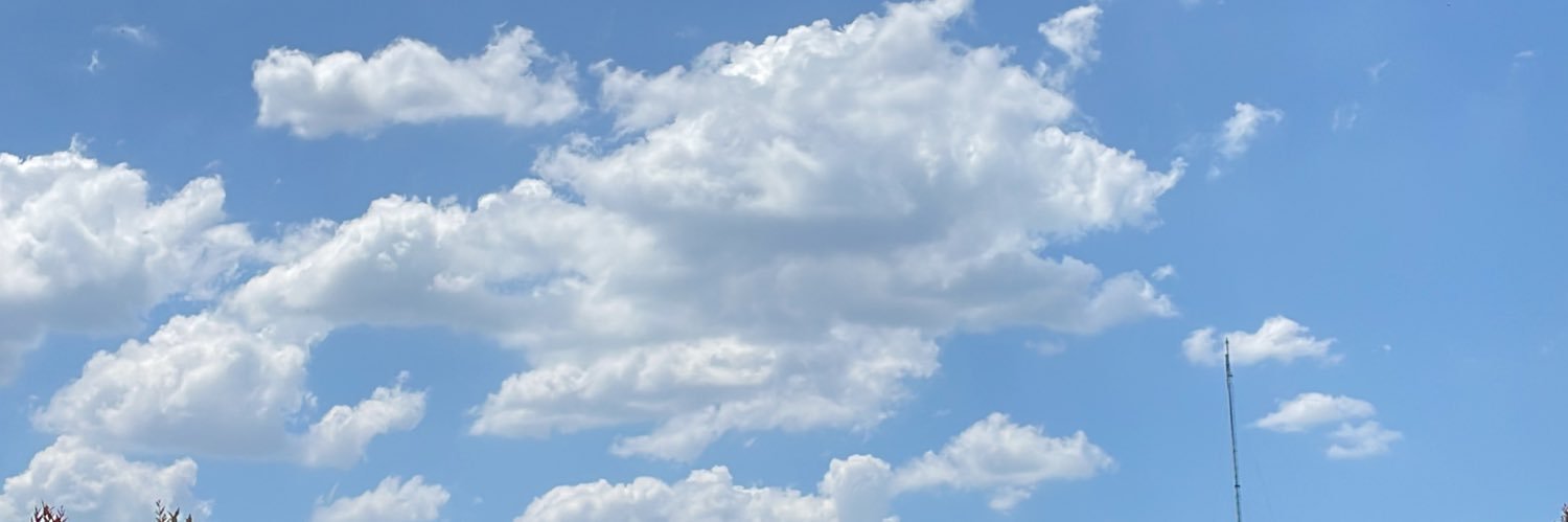 Berliann banner