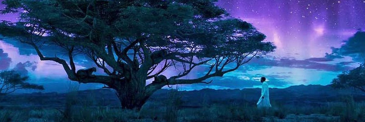 Mist2r_Blu's profile banner image