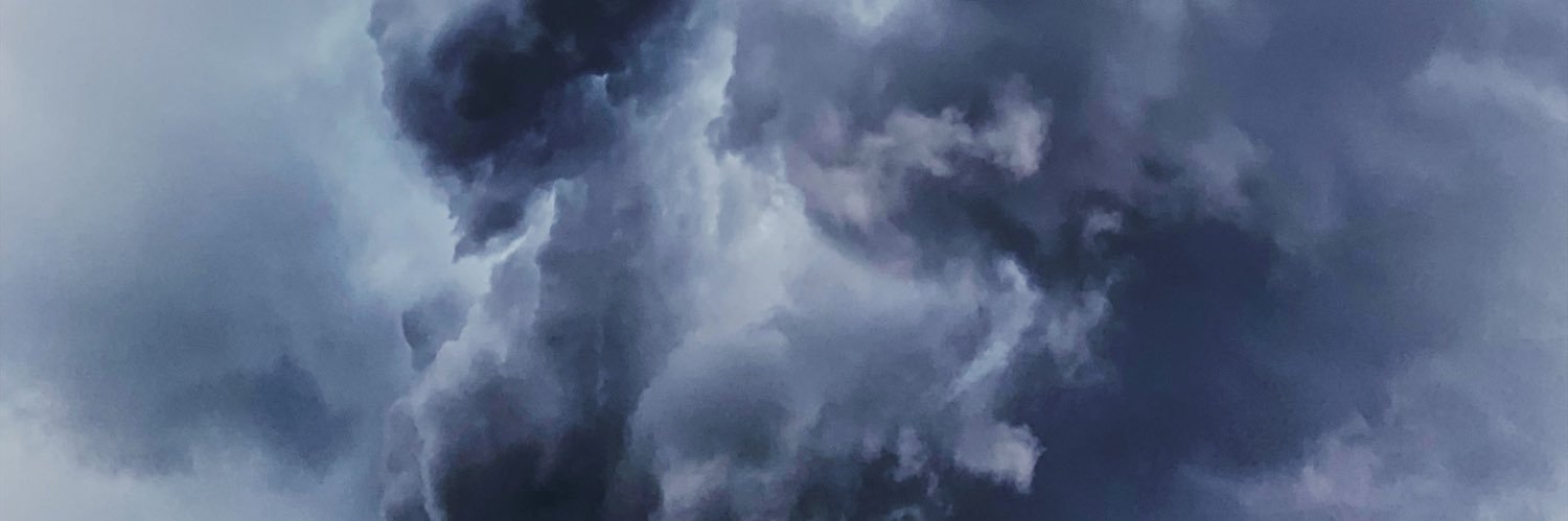 laura 🛸's banner