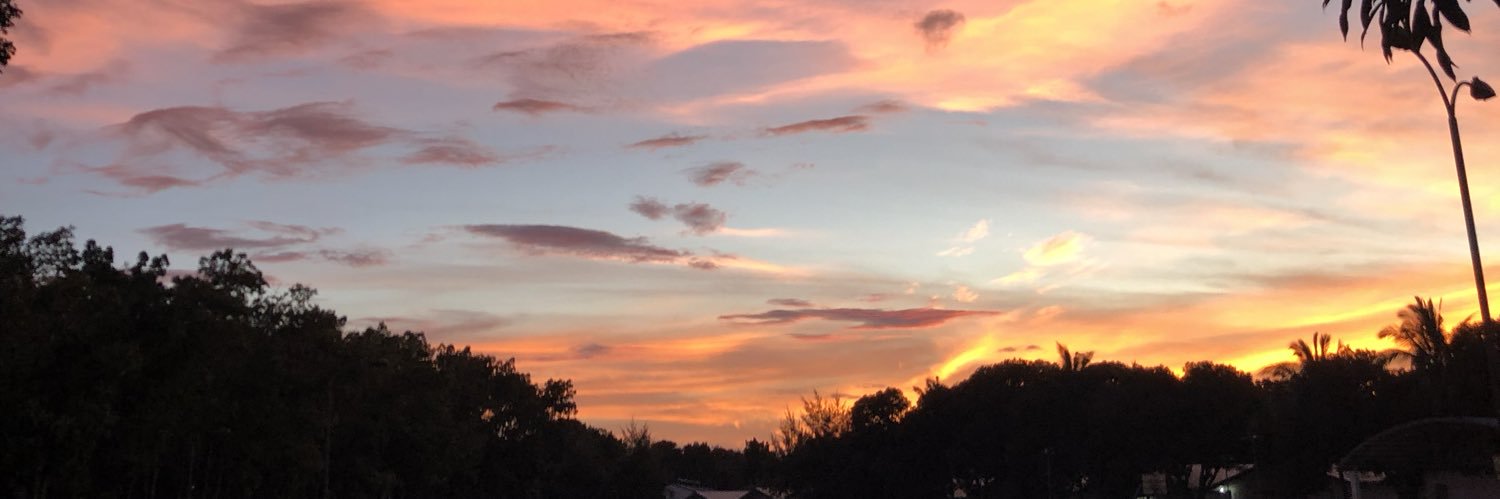 notshaunf's profile banner image