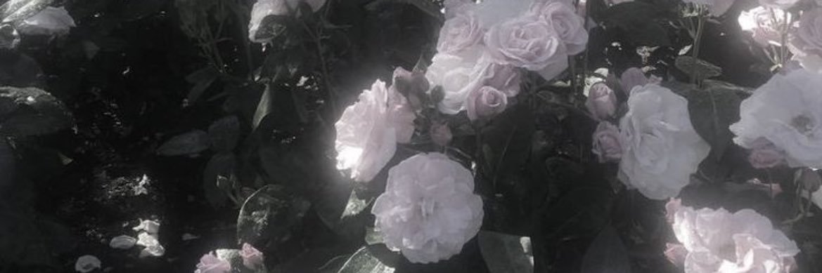 めろた🫐 banner