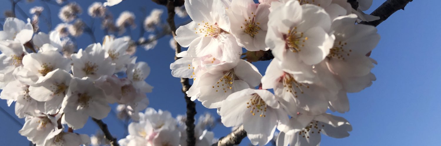 MARCH_fB's profile banner image