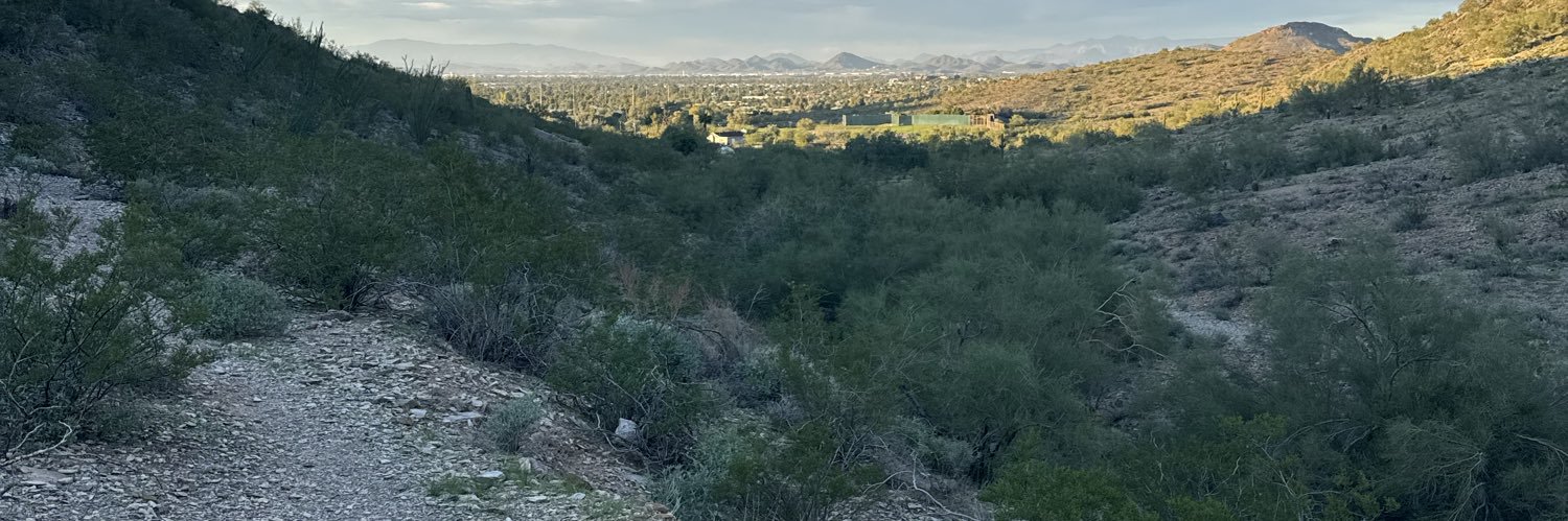 dwilson2's profile banner image
