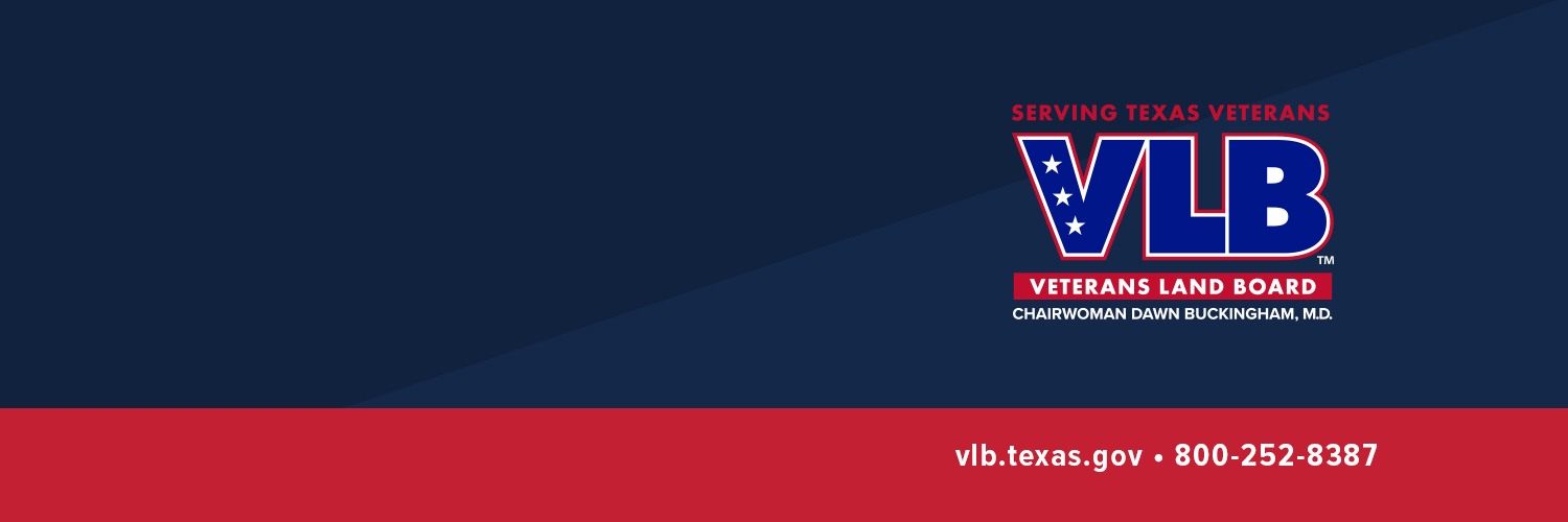Texas VLB banner