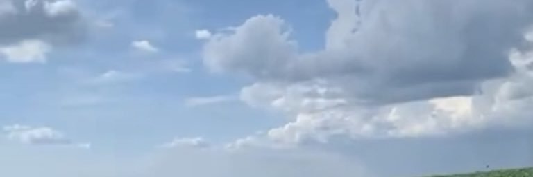 Jussara banner