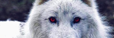 mgray262's profile banner image