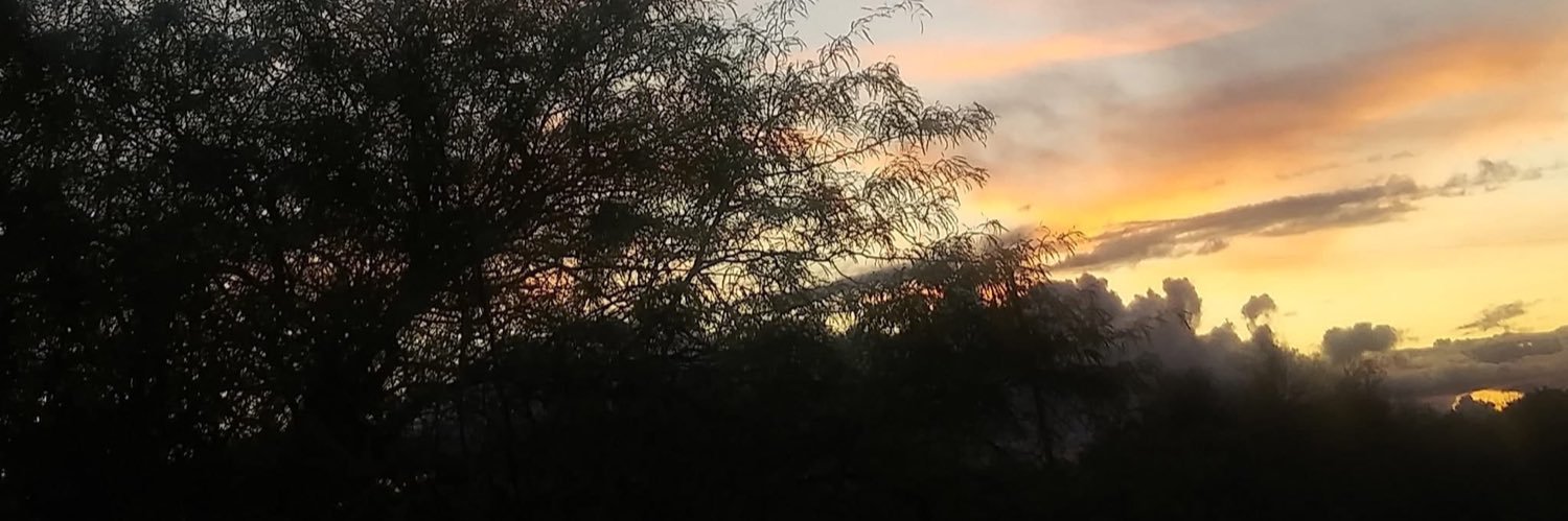 Ray_Sincere's profile banner image