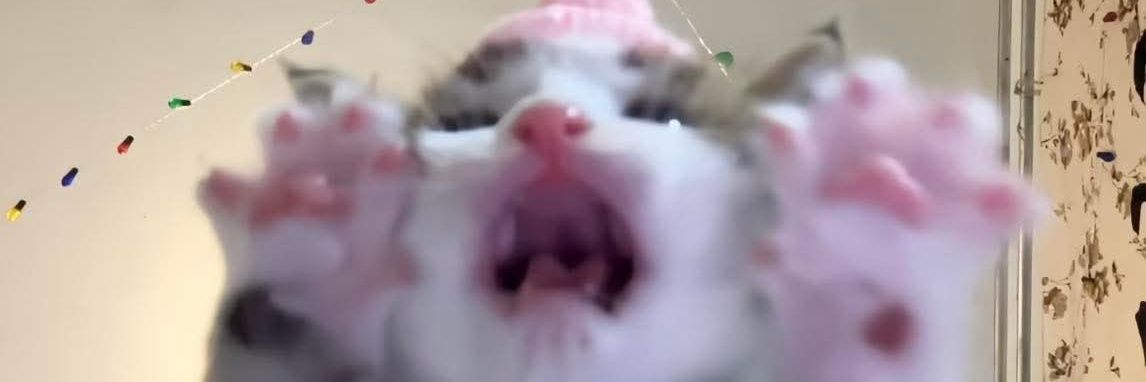 Volpina𐙚⭒ banner