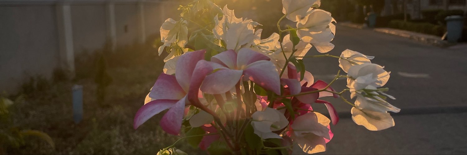 TheAlexandraO_'s profile banner image