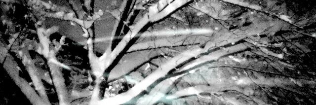 saranesson's profile banner image