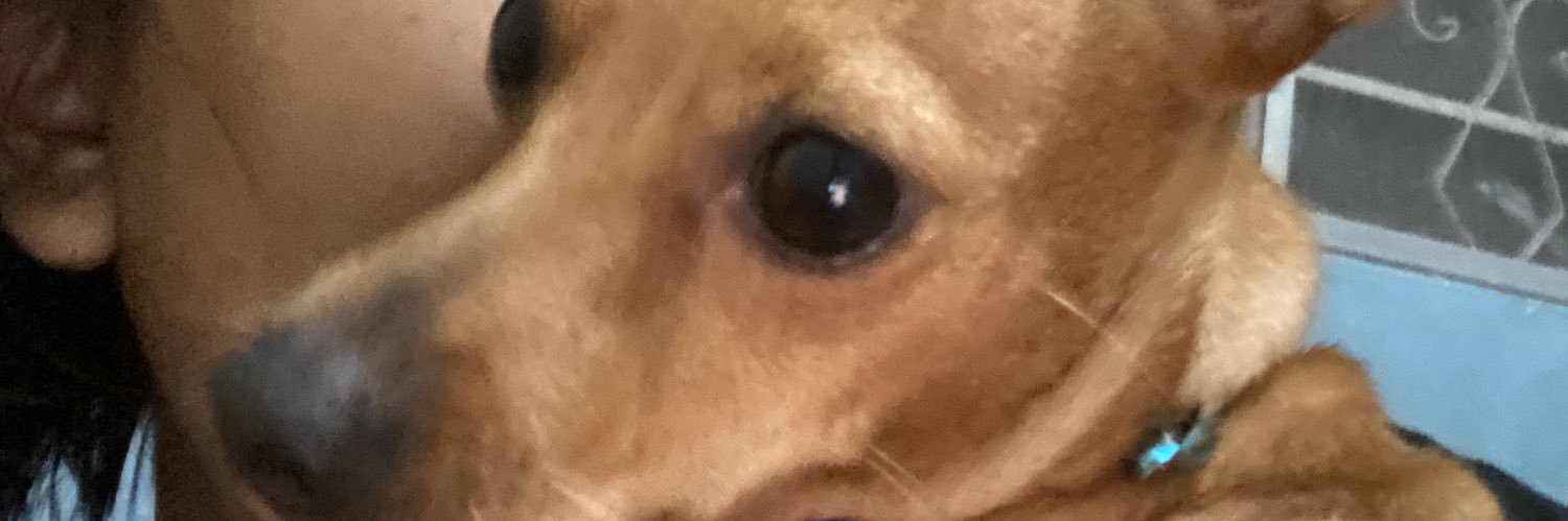 Barbsiie's profile banner image