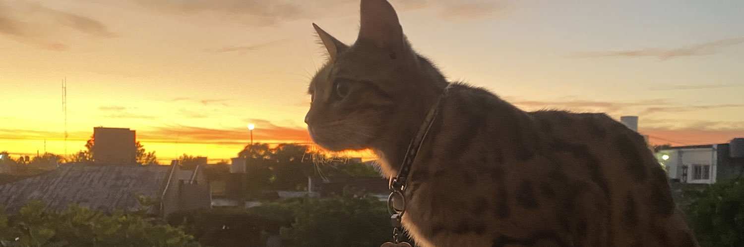 cinbaldassarre's profile banner image