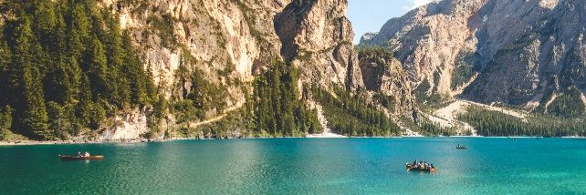 Amazing Nature🌿 banner