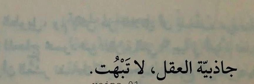 Dr. Tulip banner