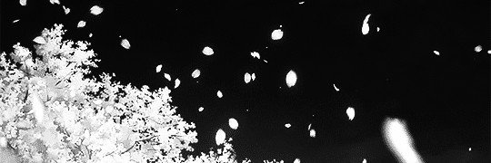 litosss2910's profile banner image