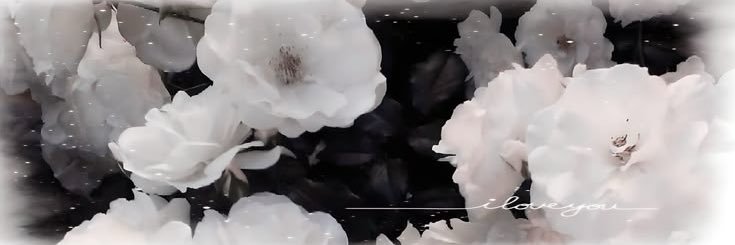 ͛℞ banner
