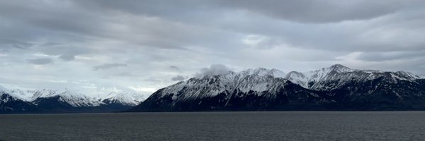 MuratGotCheeze Profile Banner