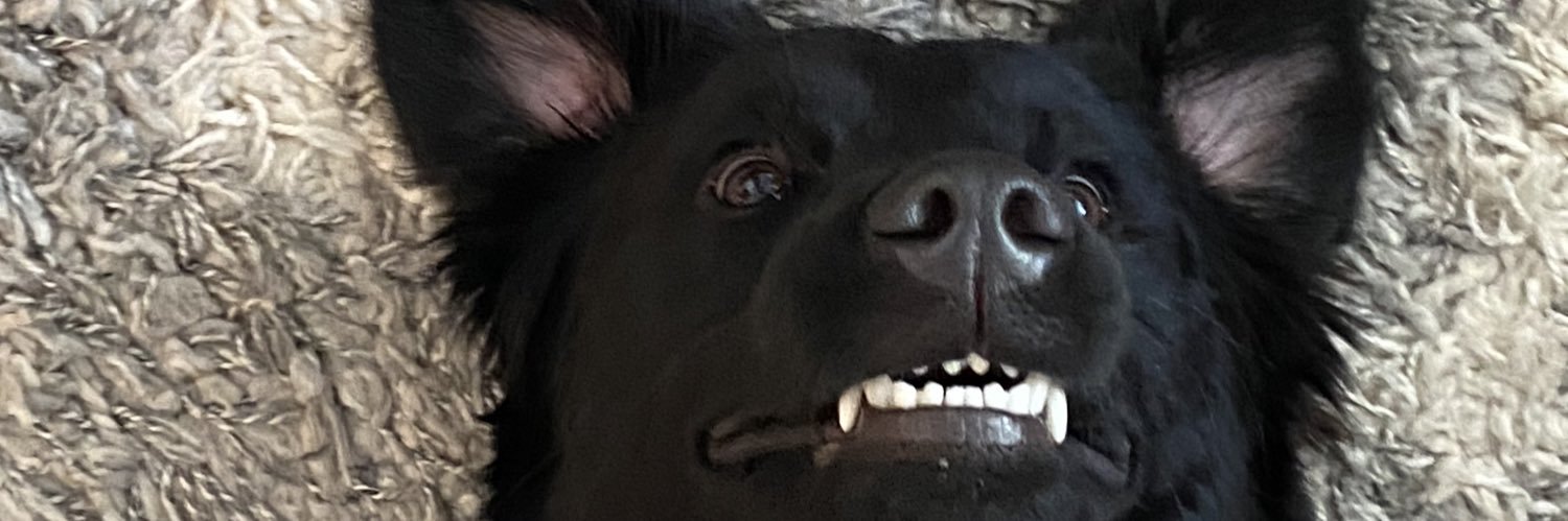 MackenzieWats's profile banner image