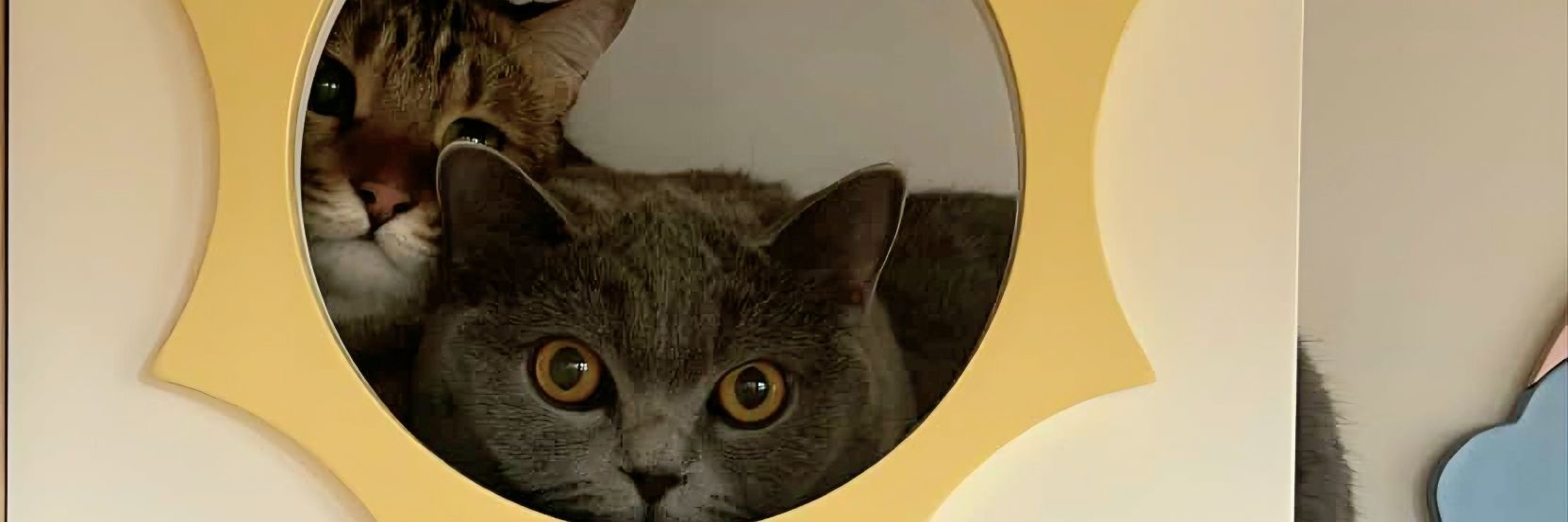 namfonpit's profile banner image