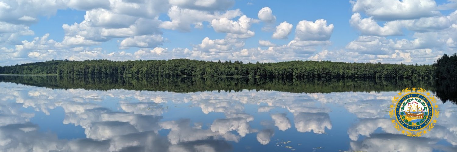 NH Dept Env Services banner