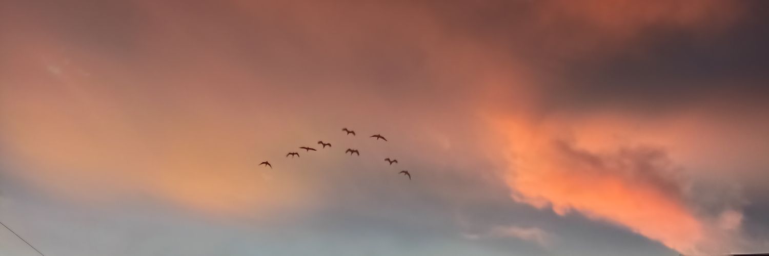 Majobep's profile banner image