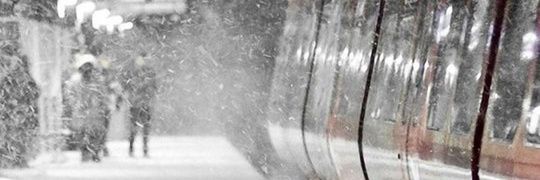 monicarsng's profile banner image