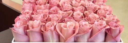 barbiedulll's profile banner image