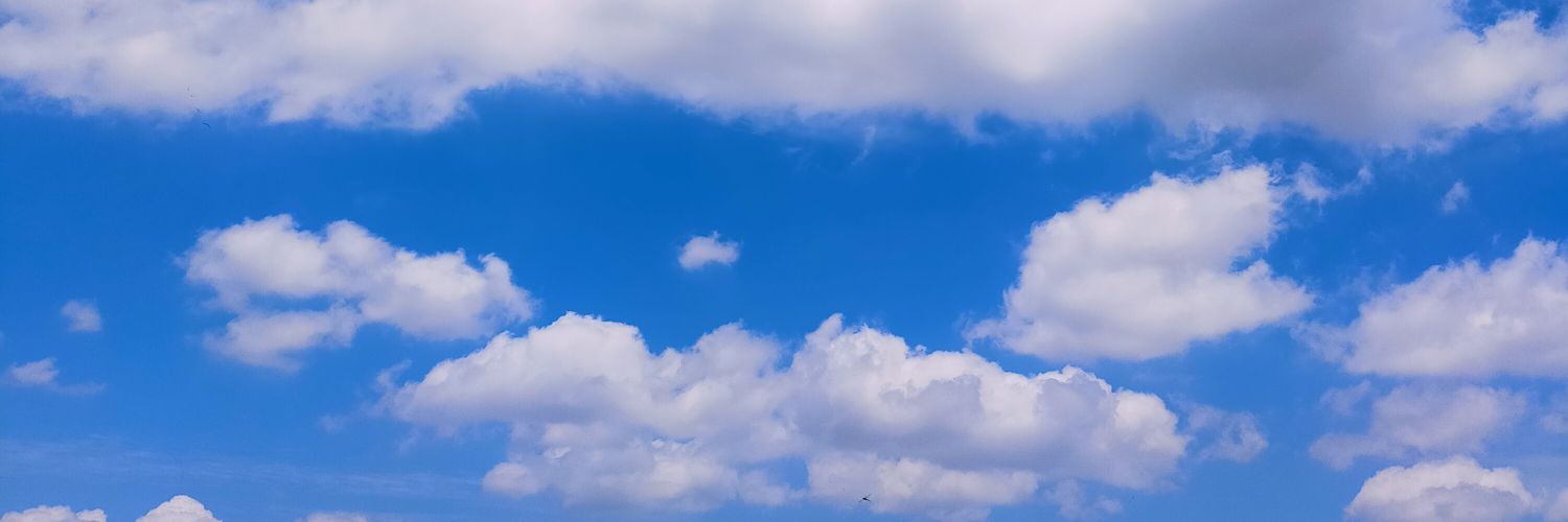 naegaSYM's profile banner image