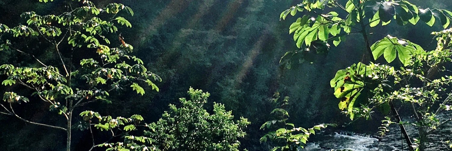 KristaEgger's profile banner image