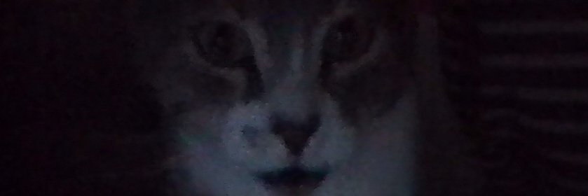 Ak4rlG's profile banner image