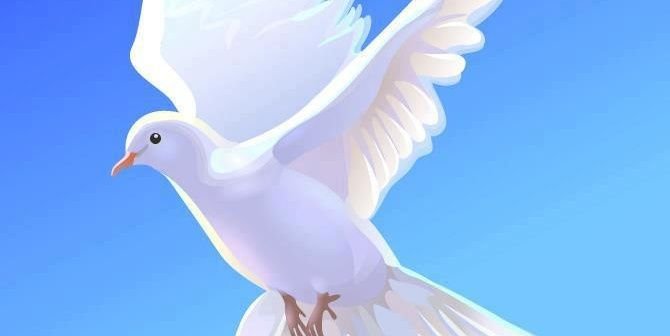 mwasimpeter's profile banner image
