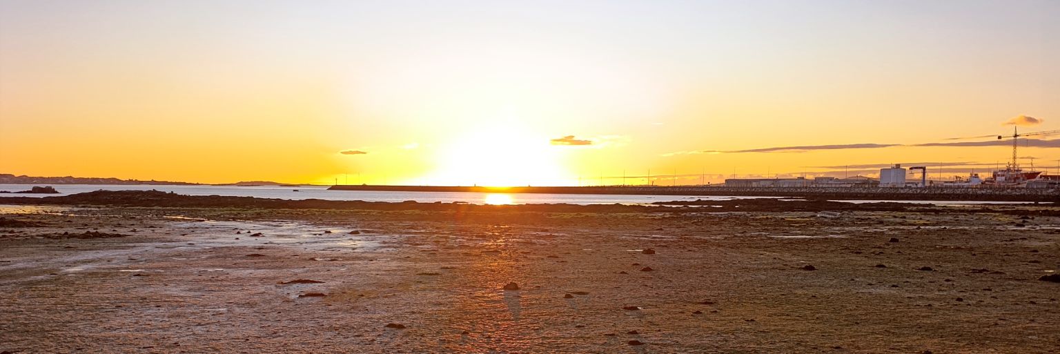 O Davinha 🍍 banner