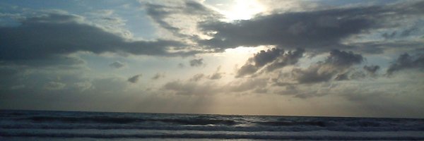 Charorx Profile Banner