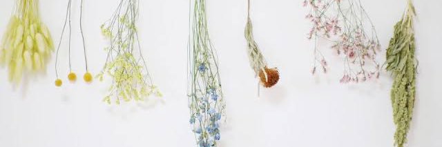 おきく｜17期クリコミュサポ隊🧩 banner