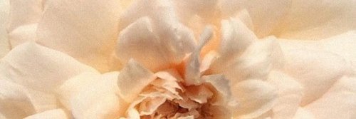 httpmeontheweb's profile banner image
