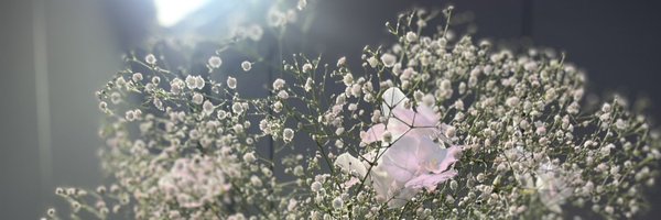 v0NrZWiBAO73129 Profile Banner