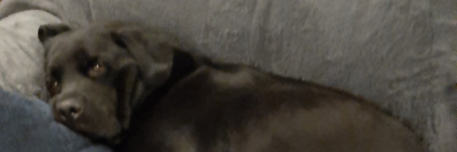 @Dorcas1859's banner