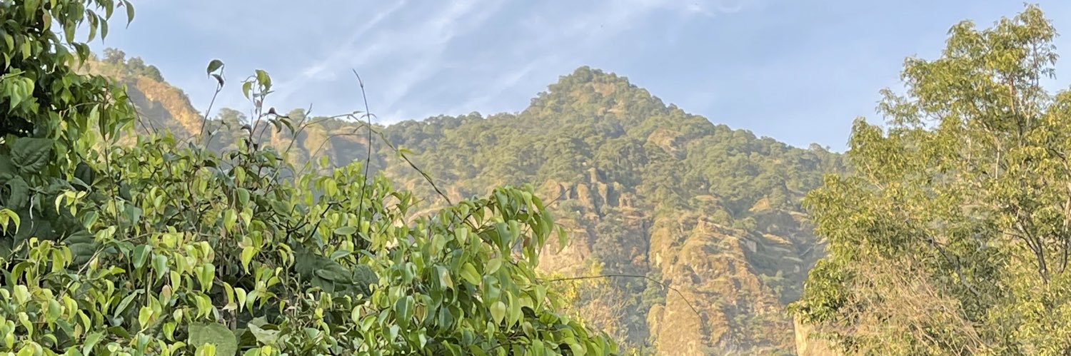 taniafb's profile banner image
