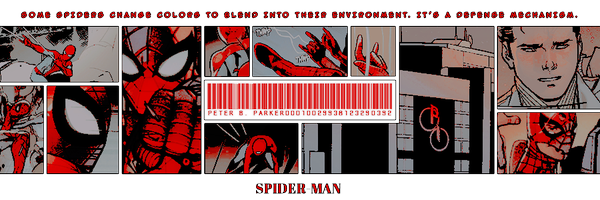 nycwebheadmr Profile Banner