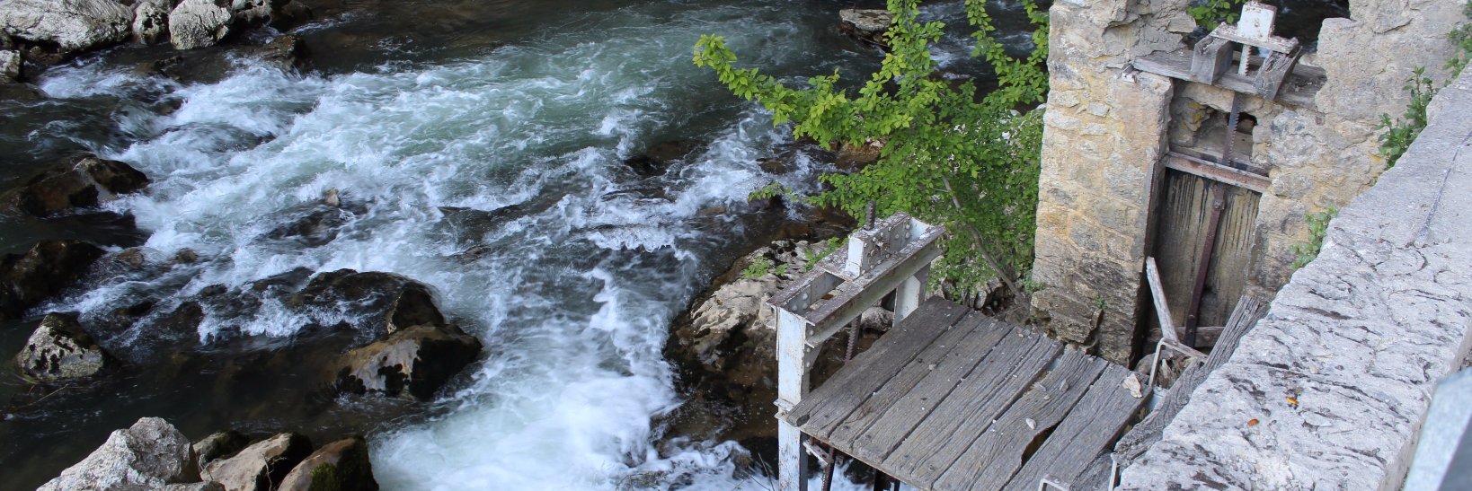 provost vanhecke banner
