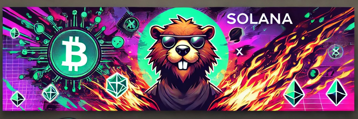 Solana Beaver banner