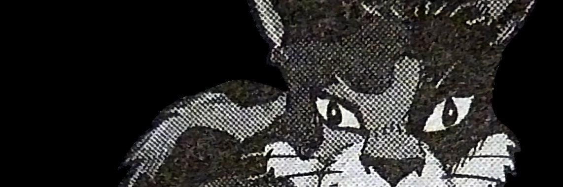 meows 🌲💚's banner