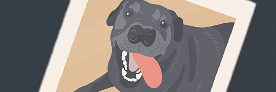 Dancrane212's profile banner image