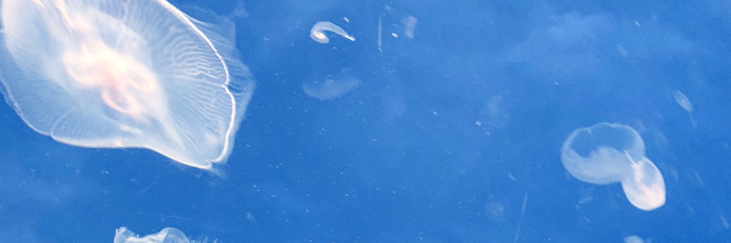 musui_s's profile banner image
