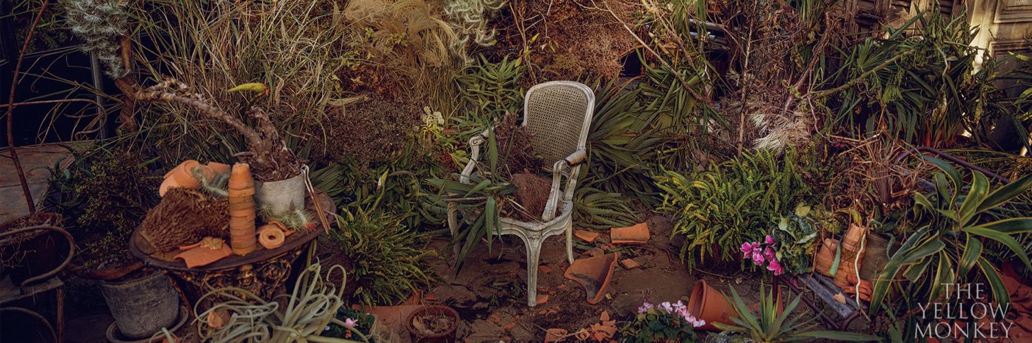 tara28030's profile banner image