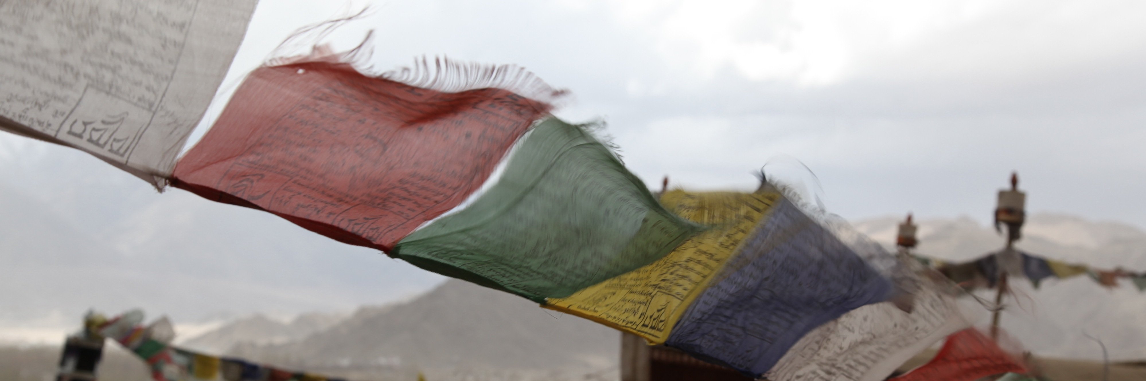 ryoichi shimoyama banner